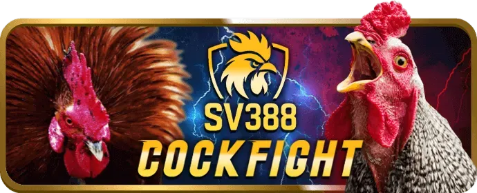 Đá Gà Cựa Dao t8bet