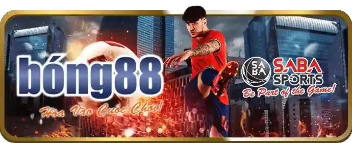Đá Gà Thomo t8bet