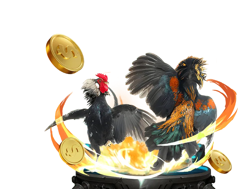 Sòng bài trực tiếp T8BET