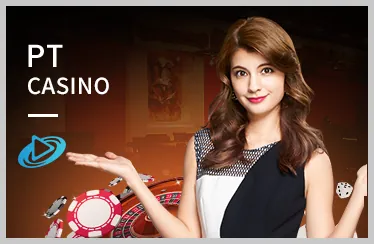 Giao diện cá cược đá gà và các loại kèo tại t8bet login